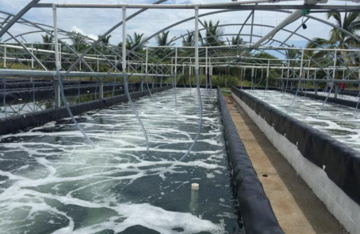 江西九江某水產(chǎn)養(yǎng)殖場(chǎng)凈水項(xiàng)目